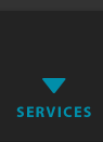 VSG Services